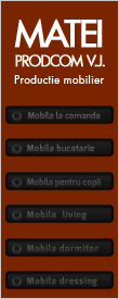 Matei Prodcom V.J. - Mobila la comanda Bucuresti